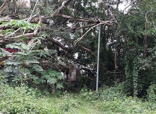 Nơi người đàn ông treo cổ. Ảnh: VTC News