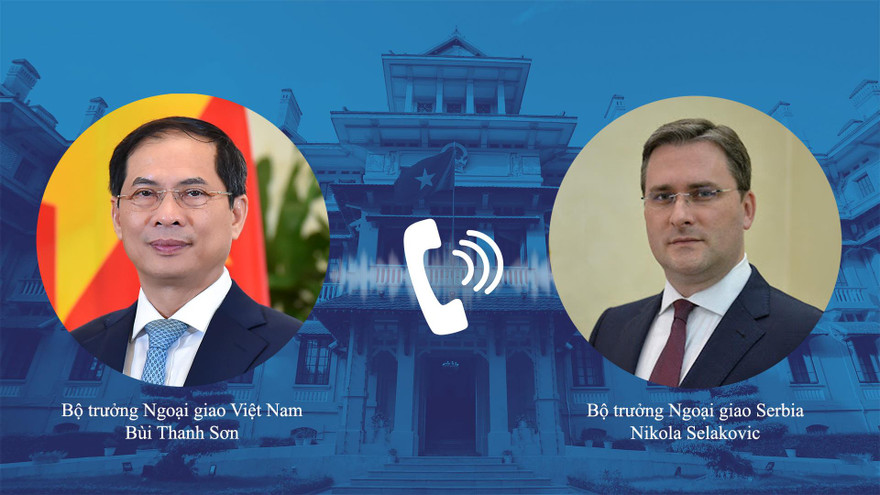 Bộ trưởng Bùi Thanh Sơn và Bộ trưởng Ngoại giao Serbia Nikola Selakovic. (Ảnh: Mofa)