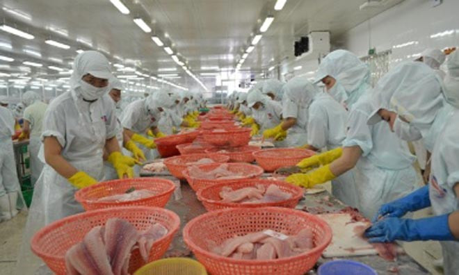 Cảnh báo khi buôn bán với tư thương Trung Quốc