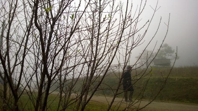 Khu vực bản Son (xã Lũng Cao, huyện Bá Thước) đã xuất hiện băng giá. Ảnh: Hoàng Lam