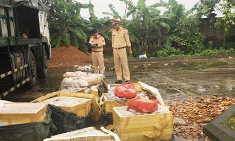 Bắt giữ gần 1 tấn thịt chó, mèo không rõ nguồn gốc