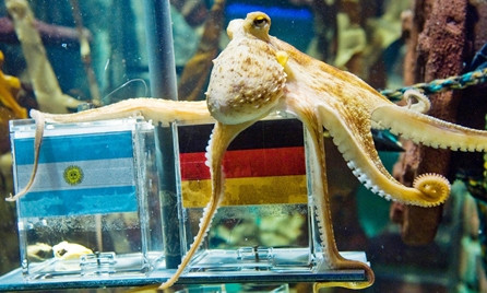 Hồi hộp cùng các ‘thánh dự’ EURO 2016