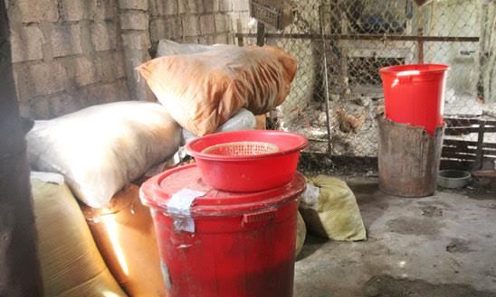 Ảnh: Báo Nghệ An