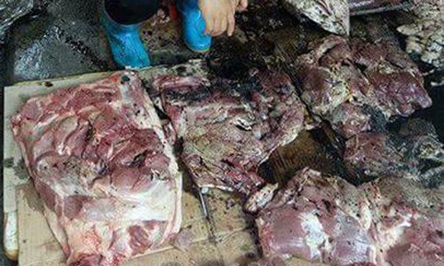 Bản tin 14H: Bắt khẩn cấp 2 nghi phạm hắt dầu vào quầy thịt lợn 