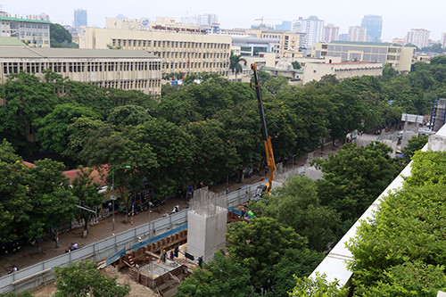 Số cây xanh quanh khu vực nhà ga S6 trên đường Xuân Thủy sắp bị đánh chuyển và chặt hạ để phục vụ thi công. Ảnh: Bá Đô