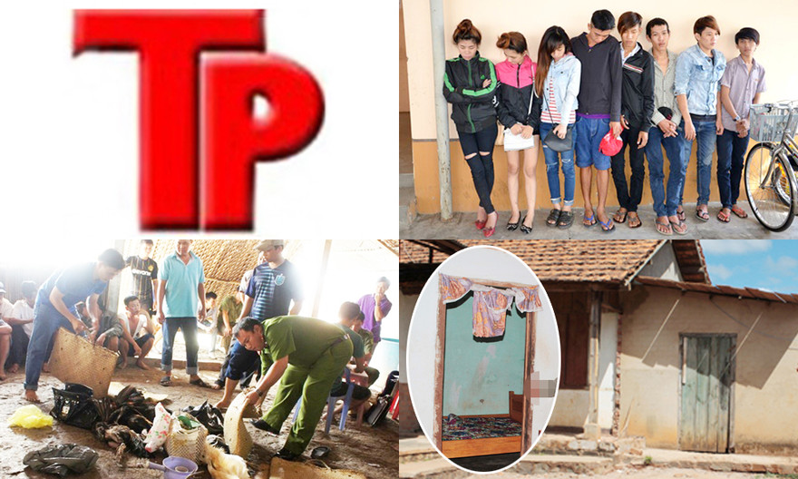 Bản tin Hình sự 18H: Vào cứu con, mẹ cũng suýt bị cưỡng bức