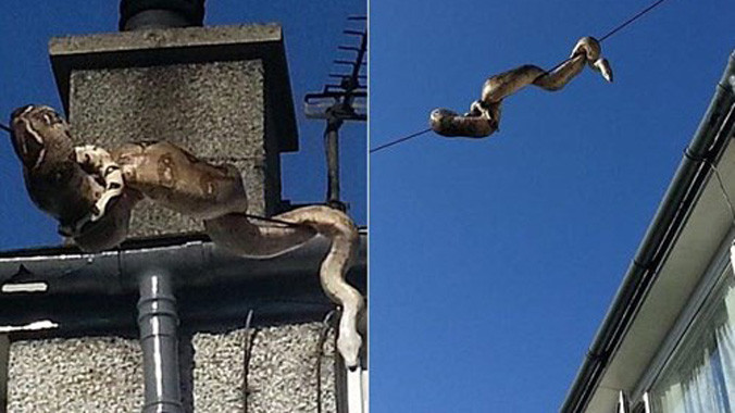 Cảnh tượng được ghi lại tại thành phố Anglesey, Bắc Wales.