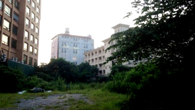 Khu dự án tòa tháp doanh nhân cỏ mọc um tùm