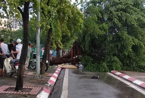 Hiện trường vụ việc.