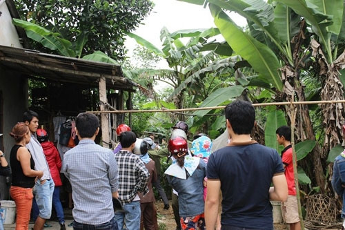 Ảnh chỉ mang tính minh họa