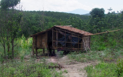 Căn chòi nơi xảy ra vụ việc