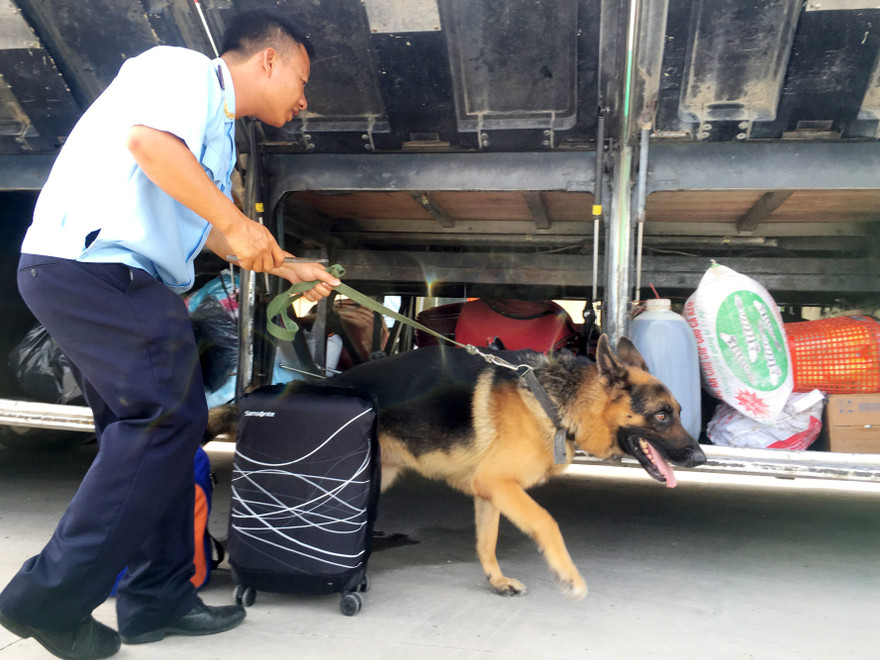 Lực lượng chống buôn lậu của Hải quan kiểm tra hàng hóa, hành lý xuất nhập cảnh. Ảnh minh họa của: Tuấn Nguyễn