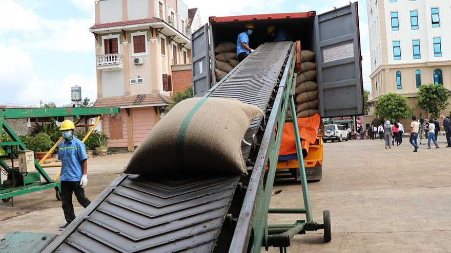 Công ty TNHH Vĩnh Hiệp xuất khẩu cà phê sang Châu Âu