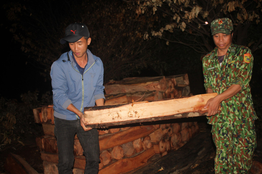 Gỗ được phát hiện trên ốc đảo ở huyện Ia Grai. Ảnh Nam Trần