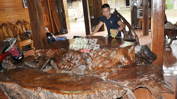 Anh Nhọt bên bộ bàn ghế bằng gốc gù hương quý giá. 
