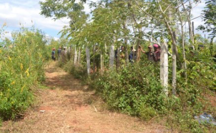 Hiện trường nơi phát hiện thi thể người đàn ông