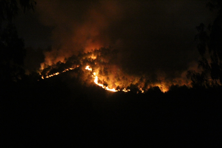 Theo Chủ tịch UBND xã Công Thành - ông Hồ Phi Hòe, ngọn lửa bốc lên ở rừng thông thuộc xóm Tân Long và cháy lan sang xóm Ngọc Sơn vào khoảng 20h30 ngày 1/7.