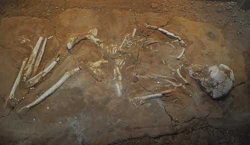 Một ngôi mộ khai quật tại nghĩa địa Passo Marinaro. Thi thể nằm nghiêng với phần đầu gối co lại. Ảnh: Live Science.