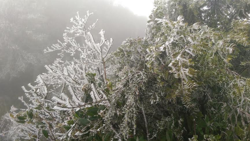 Ảnh minh họa: Internet.