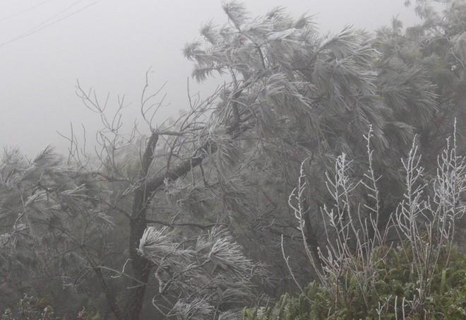 Tại Mẫu Sơn nhiệt độ xuống -2,5 độ C.