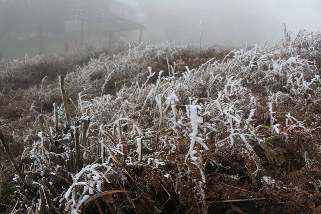 6h sáng nay, trạm khí tượng tại Mẫu Sơn ghi nhận nhiệt độ 0,2 độ C, trời mưa. Tuy nhiên, đây là nhiệt độ đo trong lều khí tượng, cách mặt đất 2 m, thực tế ngoài trời thấp hơn.