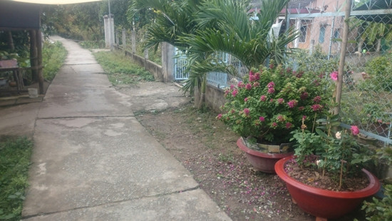 Khu vực nơi xảy ra vụ việc