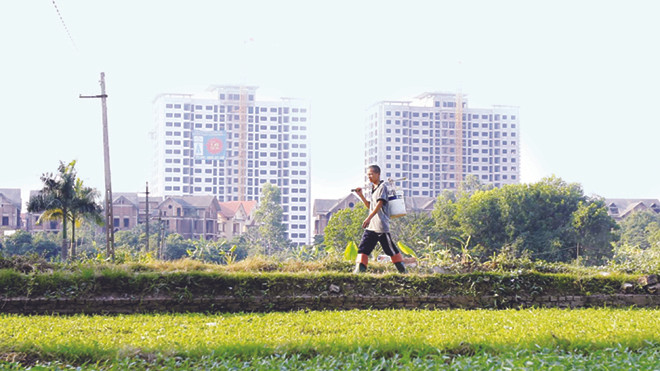 Không ít các đơn vị công bố các nghiên cứu về thị trường BĐS lại đồng thời là nhà phân phối BĐS	ẢNH: NHƯ Ý