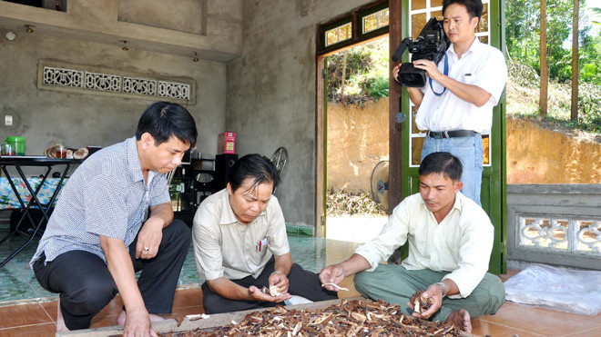 Người bị bệnh hiểm nghèo cần anh Nguyễn Đình Hoa tư vấn cách dùng nấm lim xanh chữa bệnh có thể liên lạc đến Công ty TNHH MTV Nấm Lim Xanh Nguyễn Đình Hoa Tiên Phước, điện thoại: 05113 822488. Hoặc liên lạc trực tiếp anh Hoa: 01677 410700 - 01206 030807. 