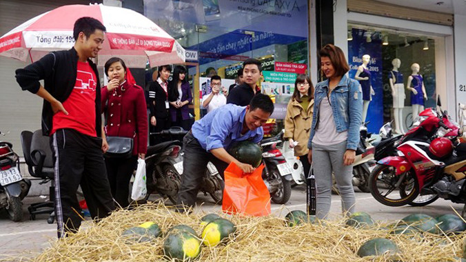 Cửa hàng Hà Nội tặng quà khách bằng dưa hấu Quảng Nam.