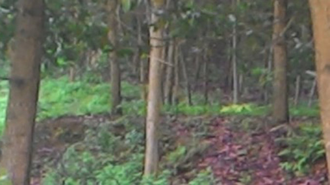 Hiện trường vụ việc.