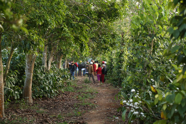 Khu vực rẫy, nơi phát hiện thi thể người đàn ông.