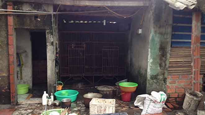 Chuồng nuôi gấu của gia đình ông Ba. Ảnh: Người Lao Động