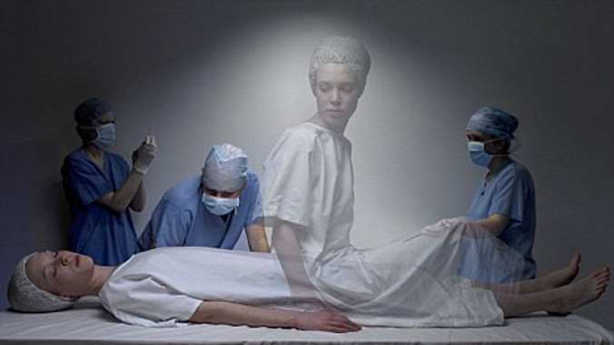 Ảnh minh họa: Drew Gardner.