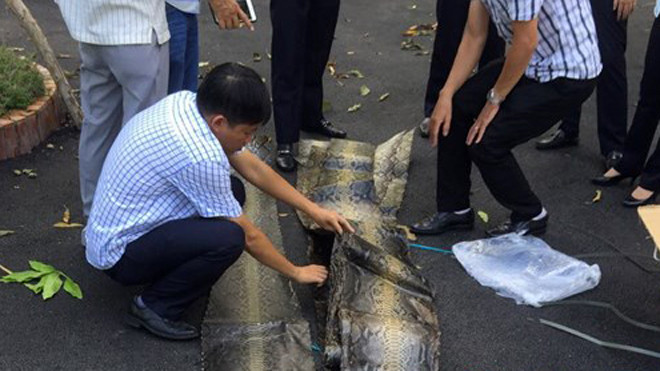 Cơ quan chức năng kiểm tra tang vật 