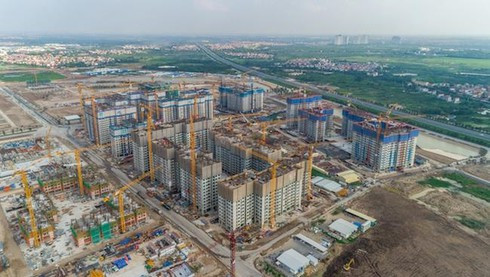 Công ty T&T nợ thuế gần trăm tỷ đồng