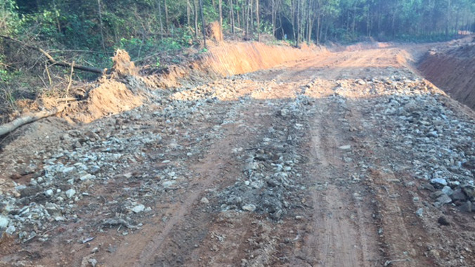 Nhiều uẩn khúc tại dự án đường lâm nghiệp gần 20 tỷ đồng