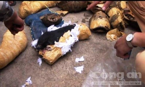 Tang vật trên xe bị thu giữ. Ảnh: Nguyên Thi.