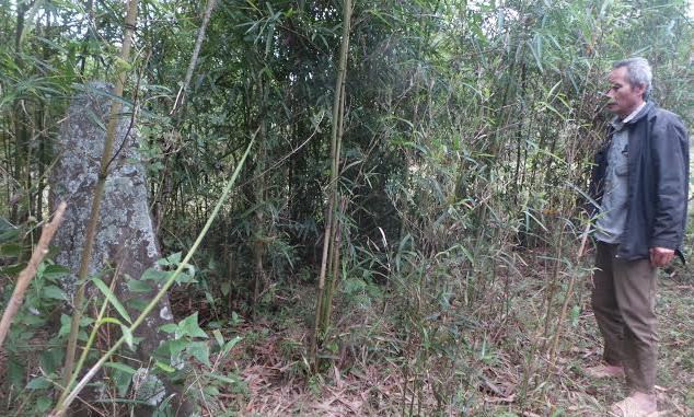 Khu mộ cổ nằm trong vườn nhà ông Hà Văn Khâm làng Bo Thượng, xã Kỳ Tân, huyện Bá Thước (Thanh Hóa). Ảnh: Hoàng Lam