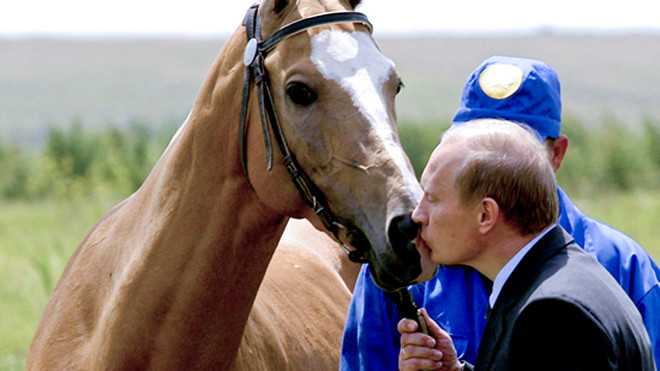 Ông Putin hôn ngựa