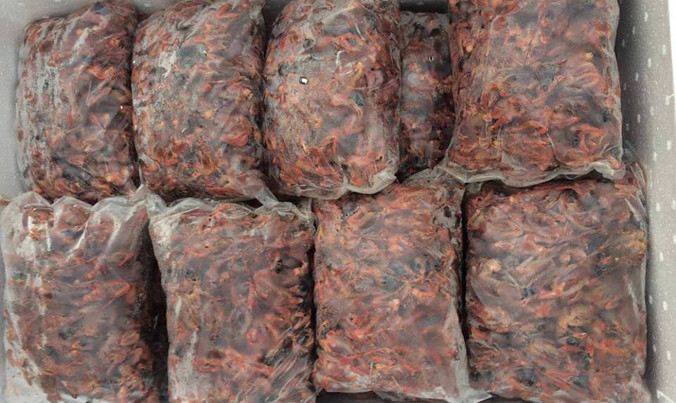 Số cá thể chim đã bốc mùi hôi thối.