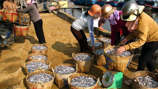 Ảnh minh họa. Internet.