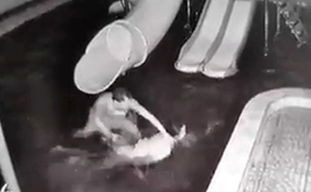 Ảnh cắt từ clip.