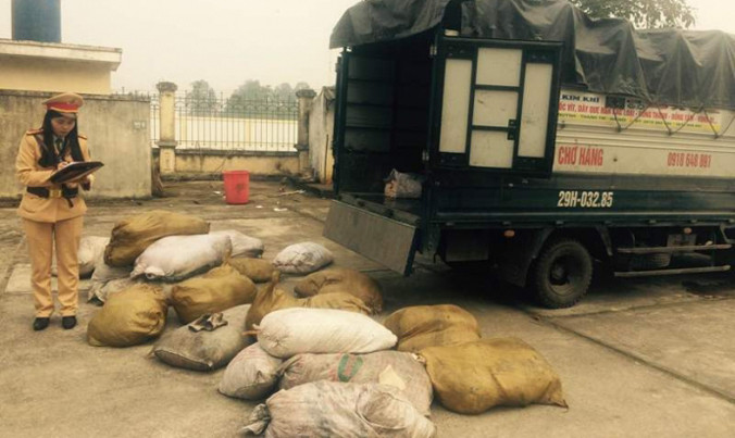 Bắt giữ xe chở bì lợn hôi thối. Ảnh: CSGT Thanh Hóa