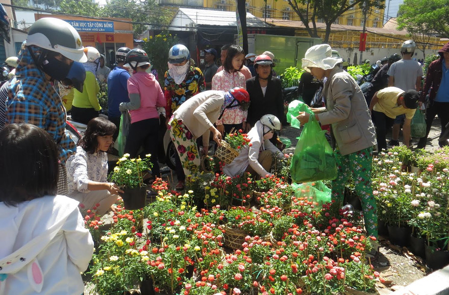 Hoa tết ở TPHCM bắt đầu “sổ” hàng