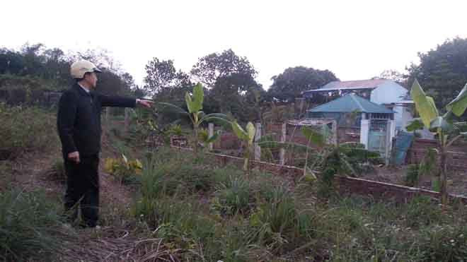 Thửa đất tranh chấp tại xã Quảng Chính