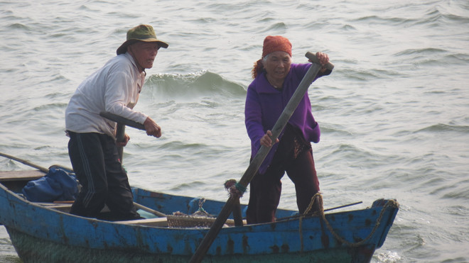 Dù đã ở vào cái tuổi “xưa nay hiếm” nhưng các cụ vẫn vững tay chèo, ngược sóng, hướng theo luồng cá chạy