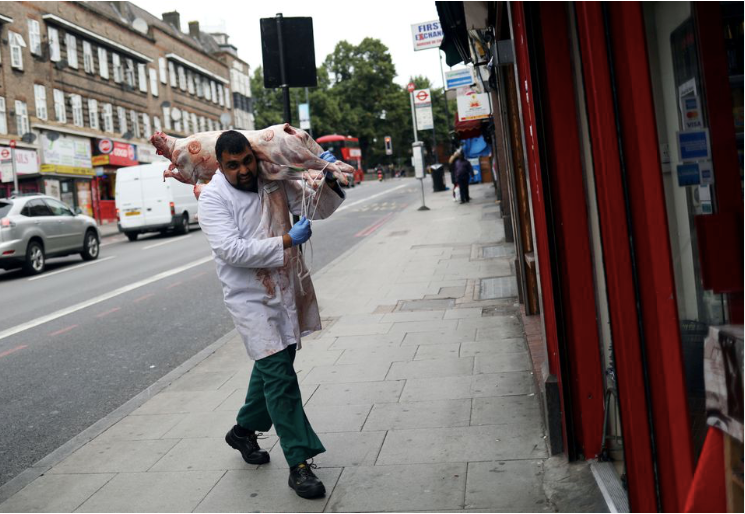 Một người đàn ông vác con lợn vào cửa hàng bán thịt ở London. (Ảnh: Reuters)