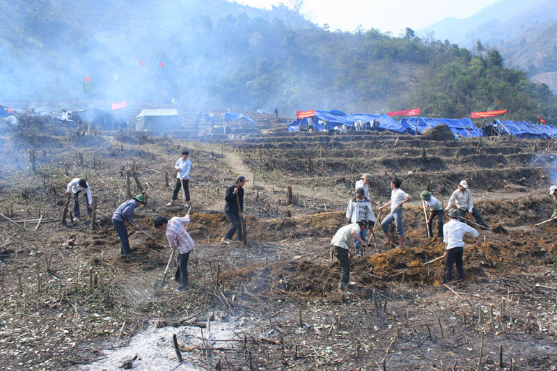Người trẻ khai phá "cánh đồng ma"