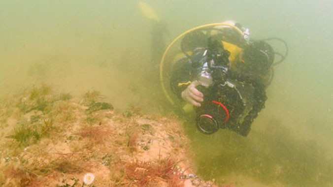 Dấu tích khu rừng ngập trong nước ở vị trí cách bờ biển Norfolk khoảng 200 m. Nó được phát hiện mùa đông năm ngoái, khi sóng bão lớn cuốn đi hàng nghìn tấn cát dưới đại dương.