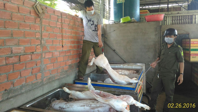 Số thịt heo bẩn được phát hiện.